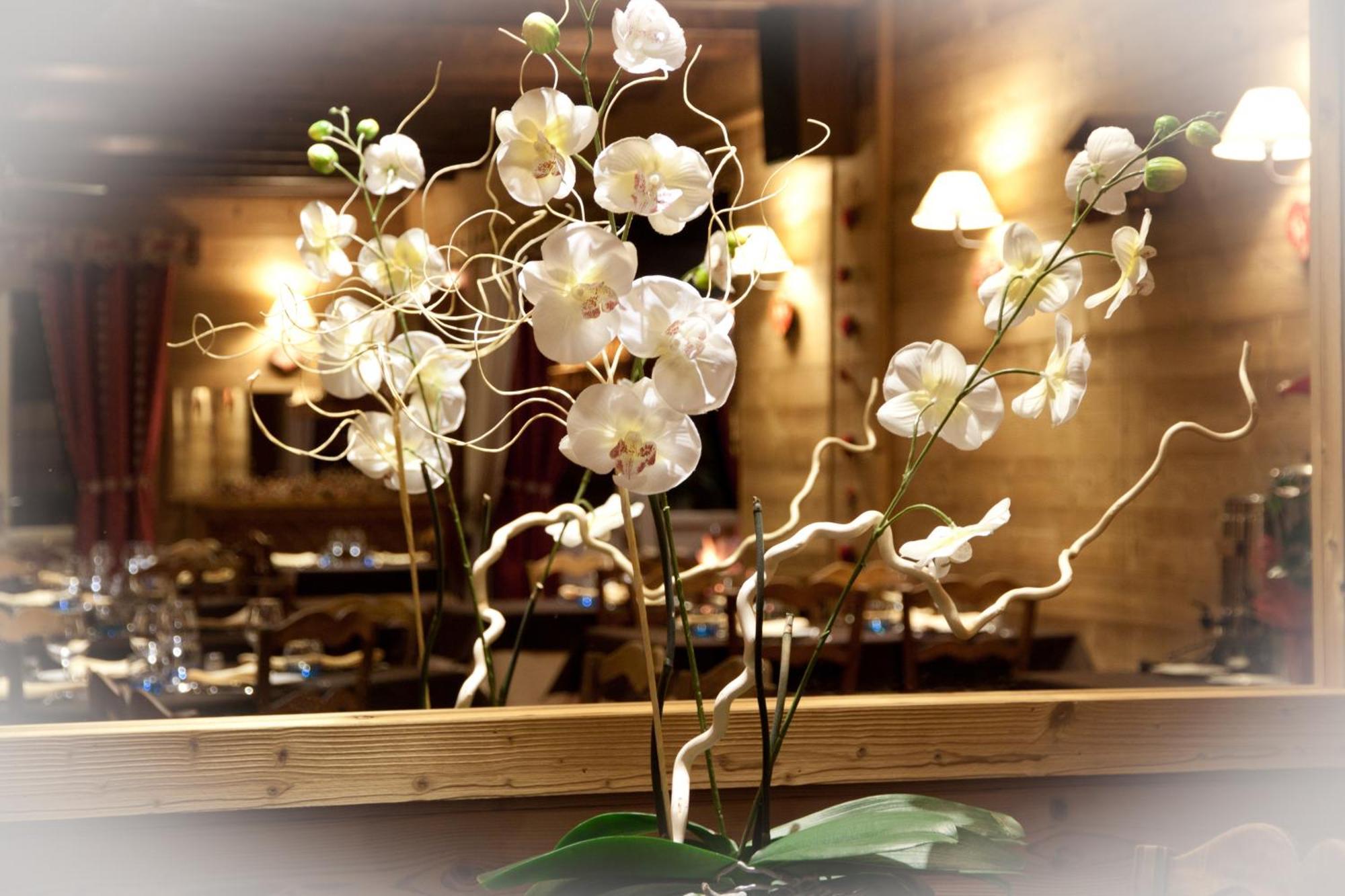 Hotel - Restaurant - Bar - Le Sapin Fleuri Bourg-dʼOueil المظهر الخارجي الصورة