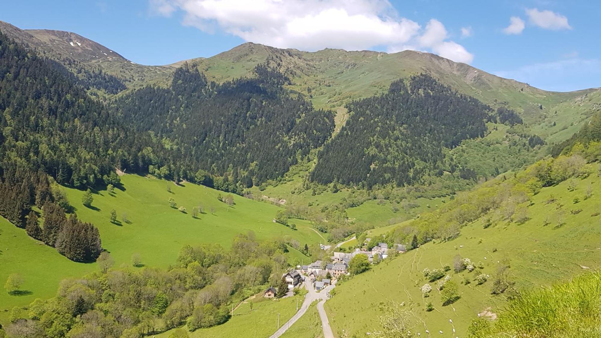Hotel - Restaurant - Bar - Le Sapin Fleuri Bourg-dʼOueil المظهر الخارجي الصورة